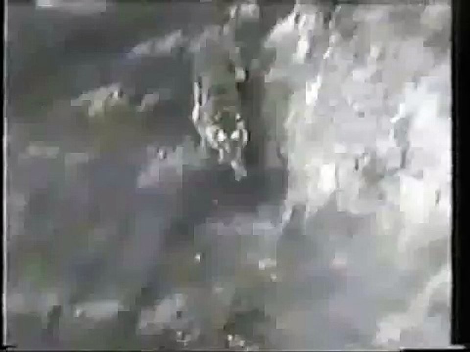 Lion vs Tiger " Gir Forest Fight" full edition
