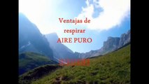 Aire Puro: Beneficios de Respirar Aire Puro