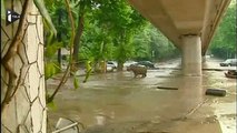 Inondations en Géorgie : 8 morts et des animaux échappés du zoo
