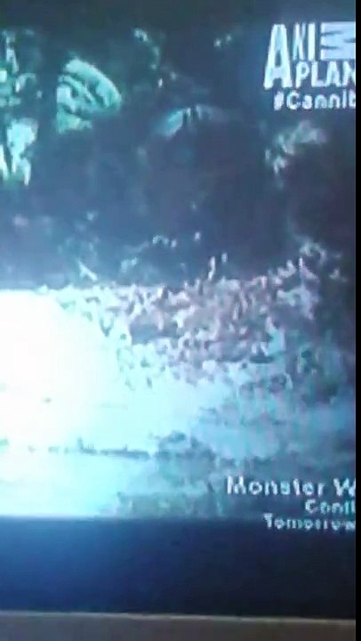 Cannibal monkeys recorded in Indonesia?!