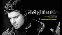 Nabeel Shaukat Ali – OST Zindagi Tere Bina