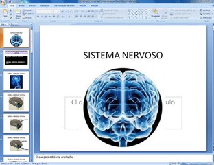 Sistema Nervoso