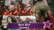 Sympathy --- Rare Bird