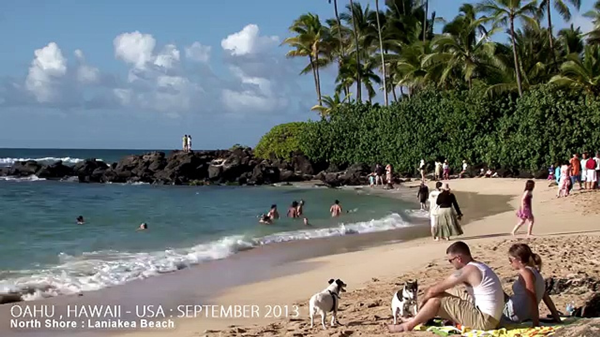 ⁣NORTH SHORE - OAHU / HAWAII , USA - TRAVEL TOUR - HD 1080P