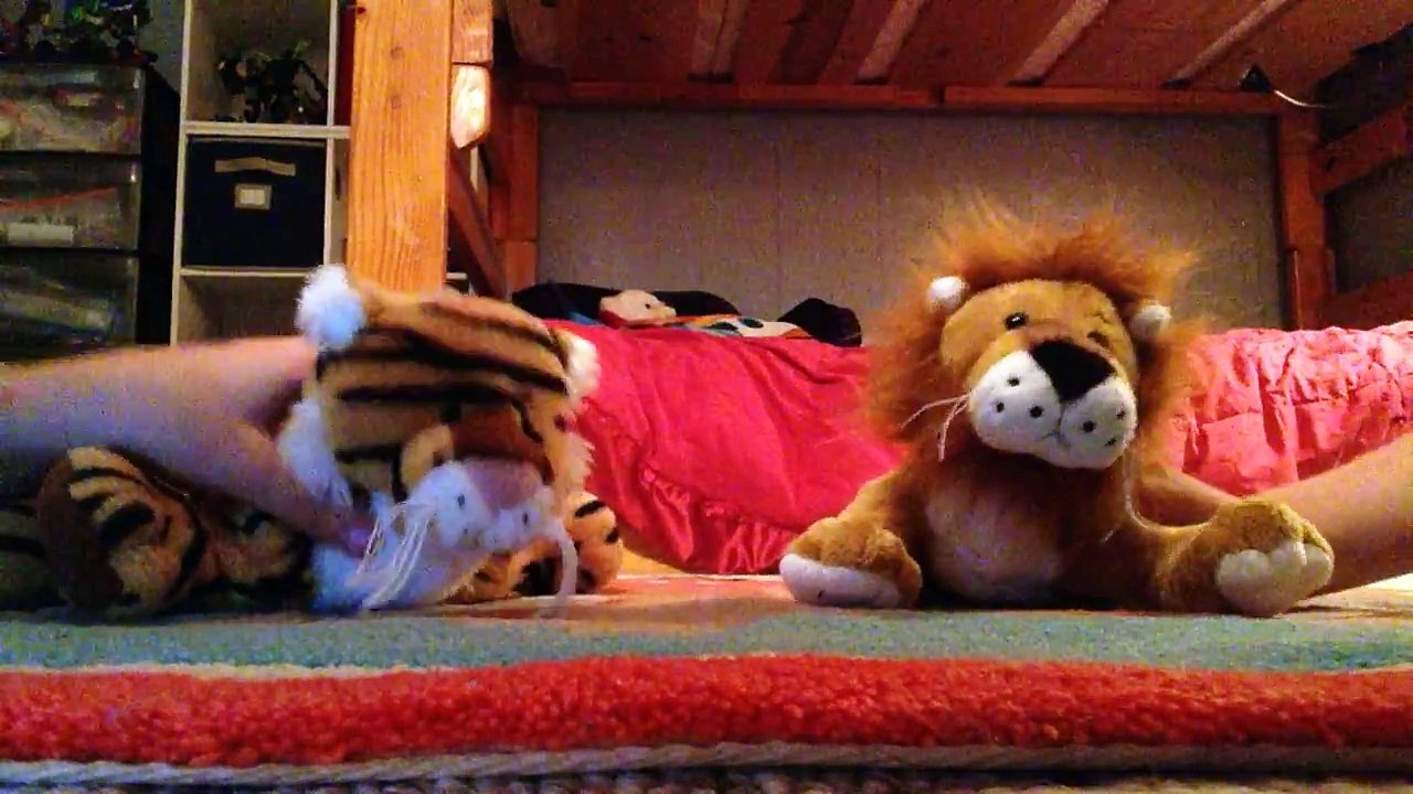 Feline funk