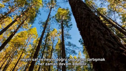 Christopher Hitchens "Kendiniz Düşünerek Risk Alın"  [ Türkçe Altyazı ]