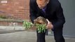 Charles Darwin the tortoise opens new university science lab