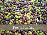 olio extra vergine di oliva con lavorazione a freddo