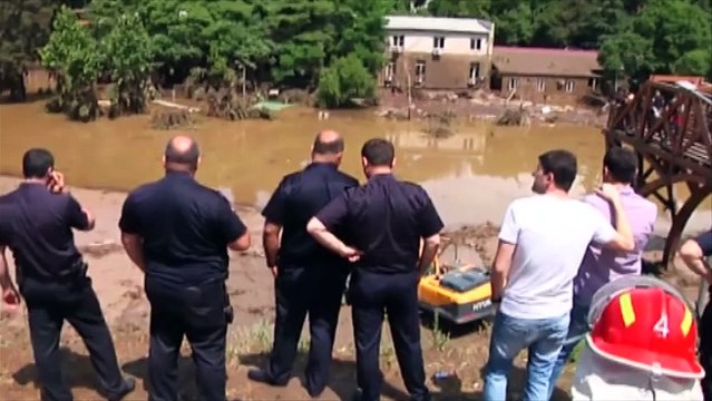 Un hippopotame, un ours, des lions dans les rues de Tbilissi