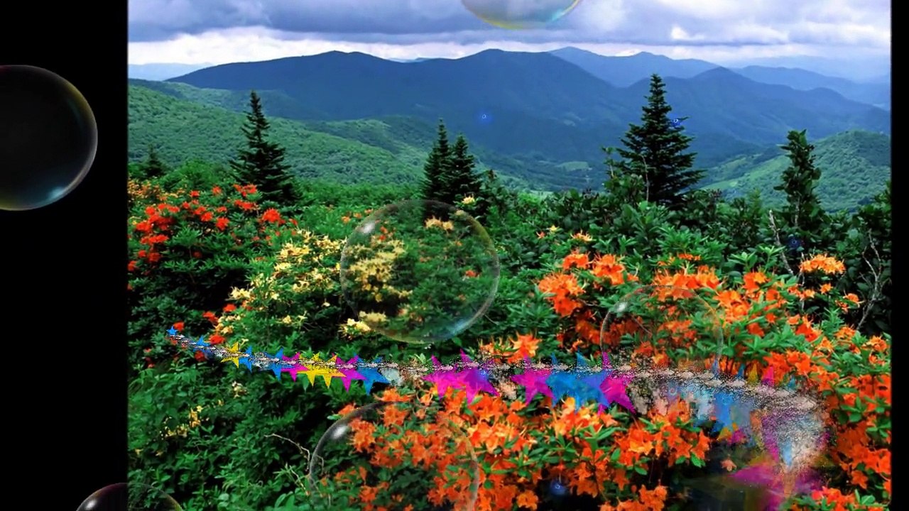 Appalachian Trail