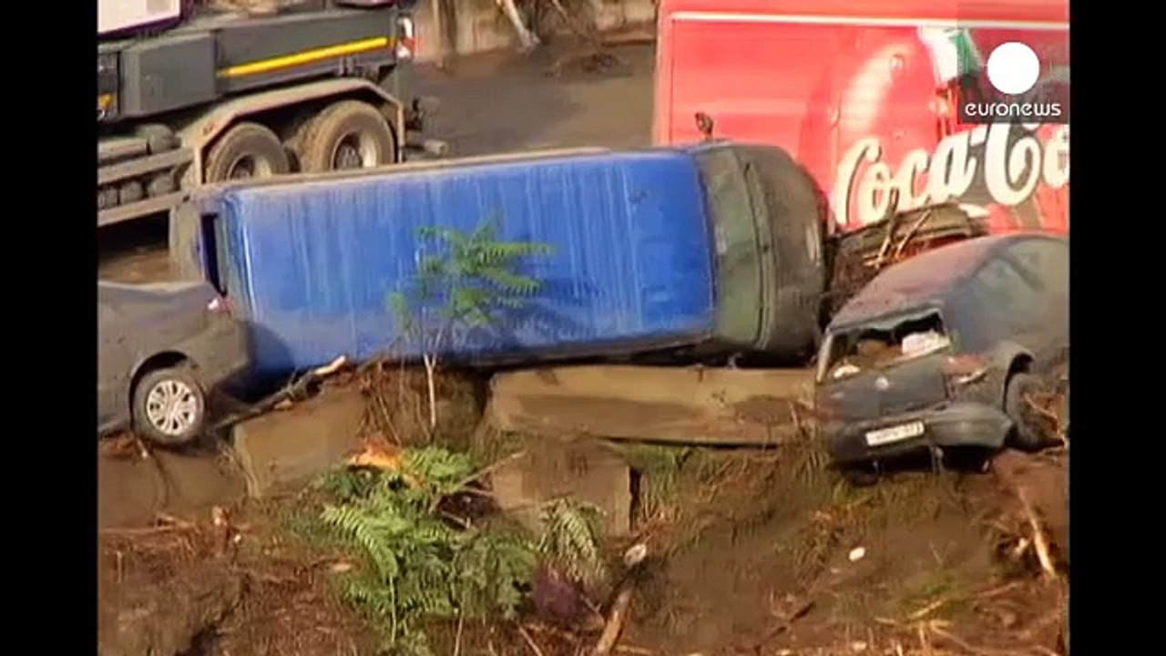 Наводнение в Тбилиси:  человеческие жертвы и массовое бегство животных из зоопарка (euronews)