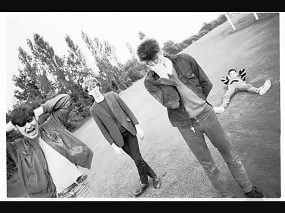 The chameleons/second skin