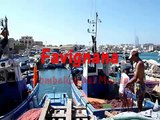Favignana: un'estate alle isole egadi