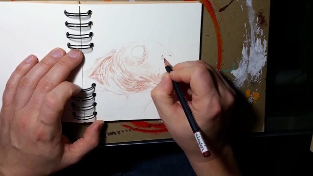 Sketchbook: Cartoon Turtle and some announcements