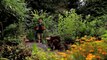 James Wong's Exotic Fruit for UK gardens!  - Homegrown Revolution