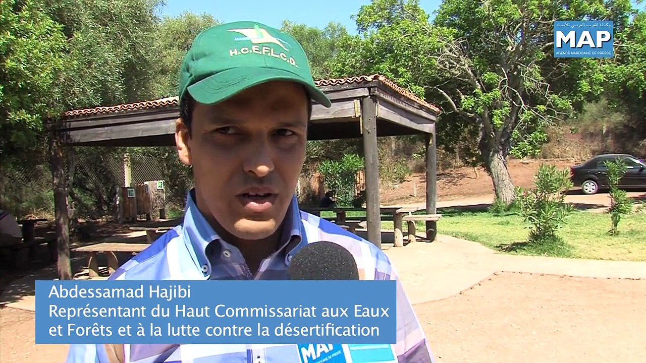 Visite de chercheurs scientifiques chinois à la forêt de la Maamora