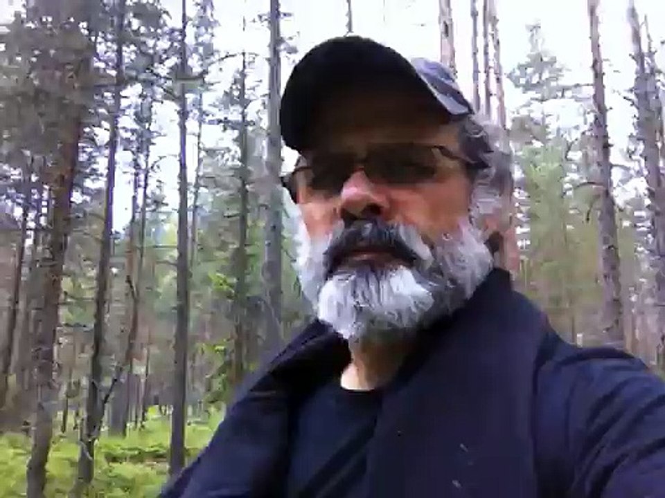 Jun 15 2015 4