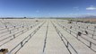 juwi Solar's Installation Time Lapse, a 25MW DTHZ Solar Tracking Project