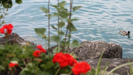 Lausanne - Montreux 24 mai