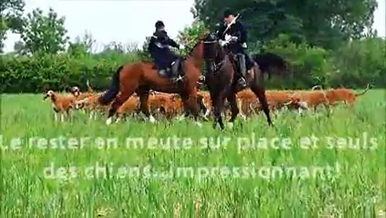 Rallye DAUGNAGUE