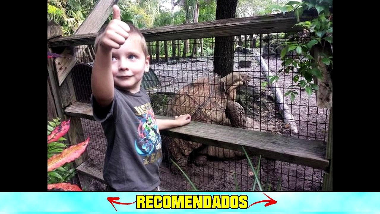 Niños sorprendidos en el Zoologico!