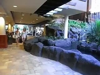 Outrigger Reef on the Beach　Hotel