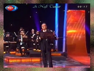 Vedat ÇETİNKAYA *Gönlüm Özledikce Görürdüm Hele*