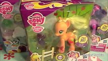 My Little Pony Crystal Motion Ponies Review (Sparkle vs. Dash) by Bin's Toy Bin
