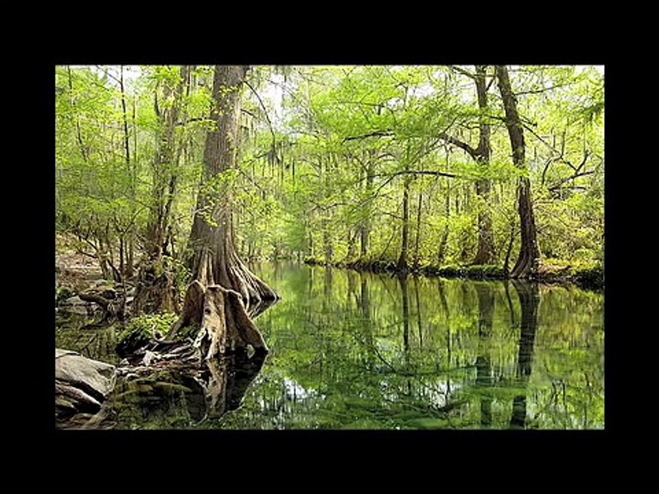 2010 Ex Hacienda Santa Engracia Ejido B. J. Mpio. de Hidalgo, Tamaulipas