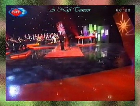 Vedat ÇETİNKAYA *Sevgi Deli Gönülden Gönüle Bir Akıştır*