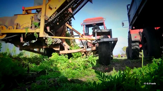 DDR Landmaschinen Fortschritt EM 11 Möhrenroder !