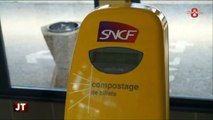 TGV direct Paris-Savoie en baisse : Colère chez les élus