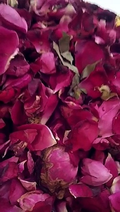 Noha Khuwan Kiran Zaidi_4