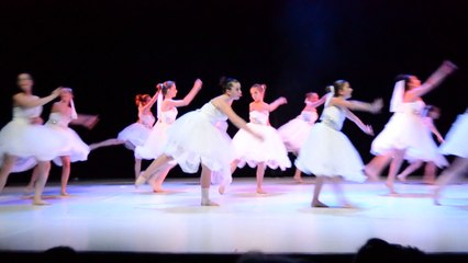 Gala de danse 2015 "Le Violon"