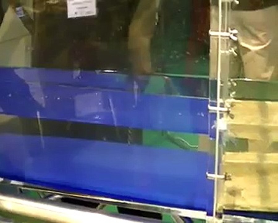 Tsunami simulation - Modélisation d'un tsunami