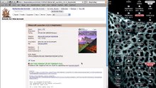 Tutoriel : comment télécharger des torrents