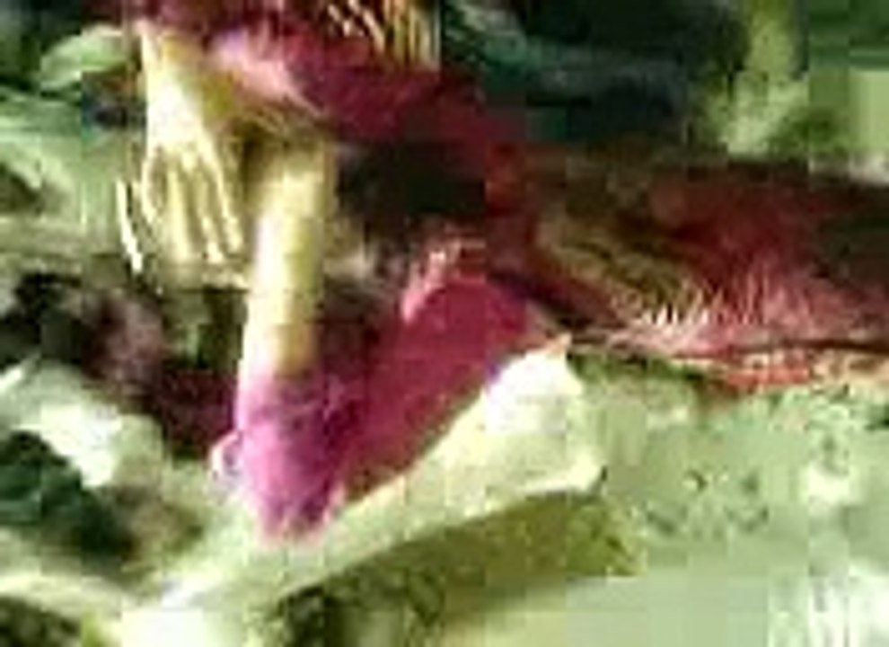video0004.3gp