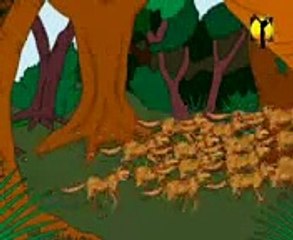 Sher Or Gadhey Ki Dosti_ kids Corner_ Cartoon on Dailymotion_ Childs world on da