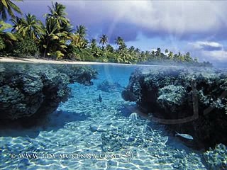 Allah Hoo Naat- Qari Waheed Zafer