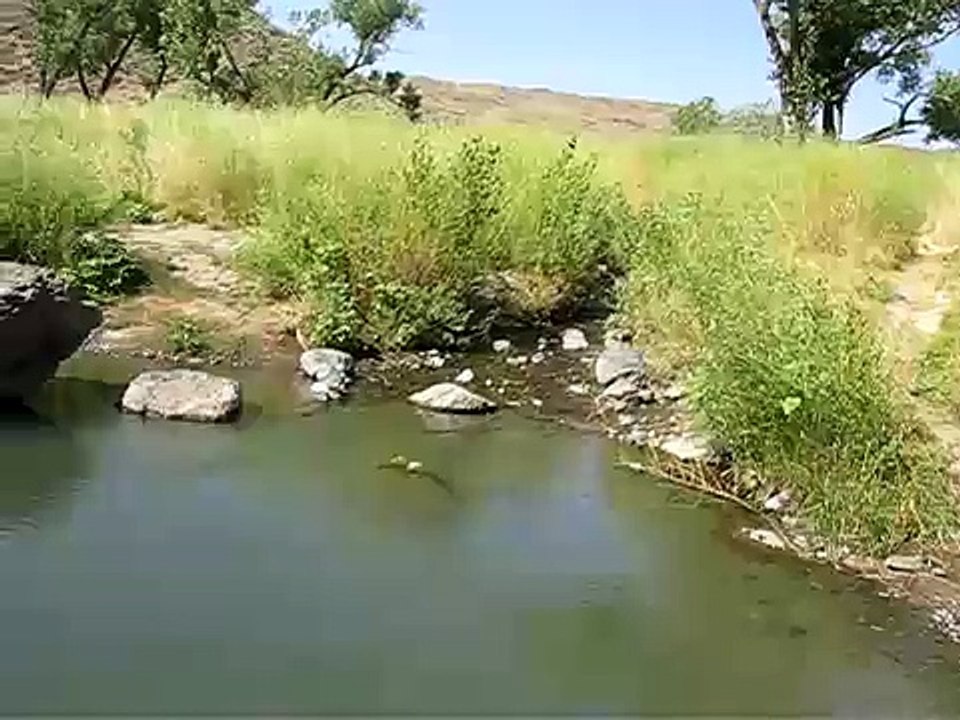 snively hot springs on owyhee river