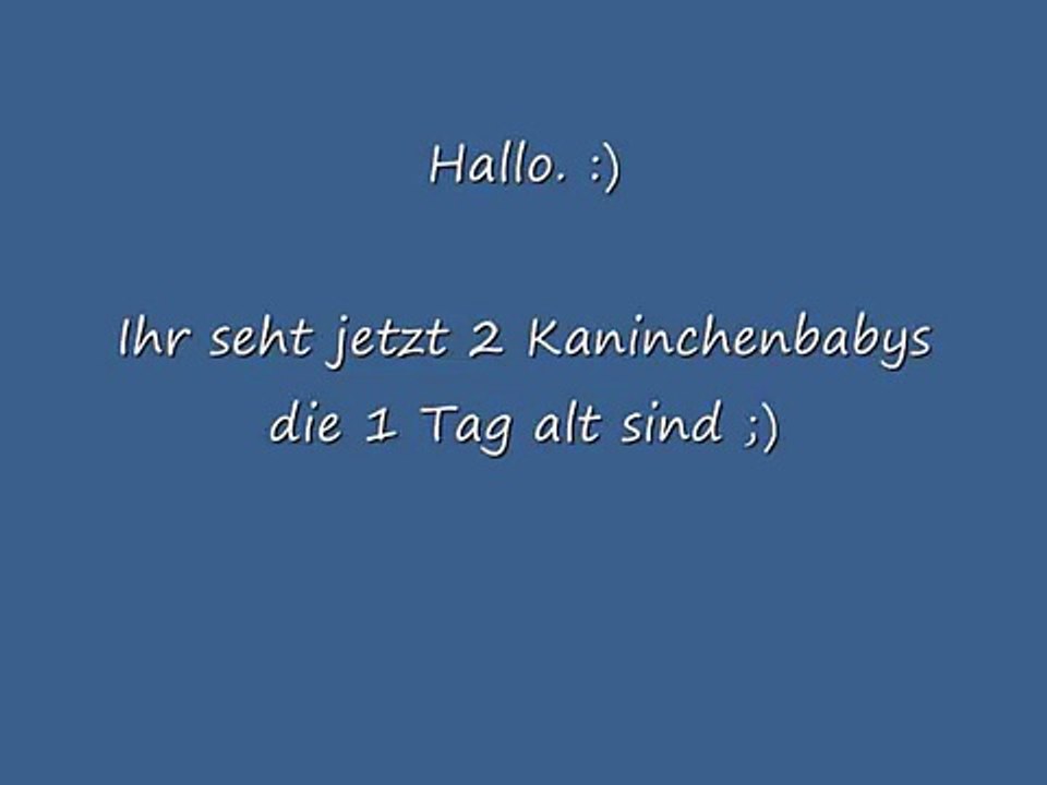 Kaninchen babys (1 Tag alt)