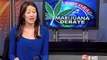 Amendment 64 - End marijuana prohibition in Colorado