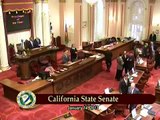 Consul General Nasimi Aghayev addresses the California State Senate