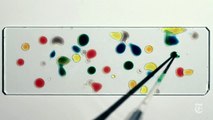 The Physics of Droplets | ScienceTake | The New York Times