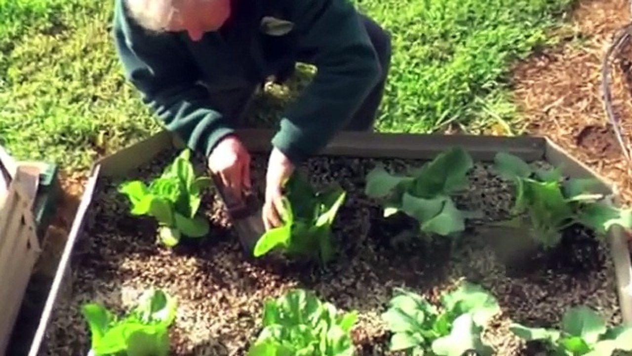 SOIL PH TESTING USING MANUTEC PH TEST KIT