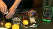 Electric Circuit Experiments With Jell-O, Lemons & Potatoes : Electric Circuit Experiments: Water Battery