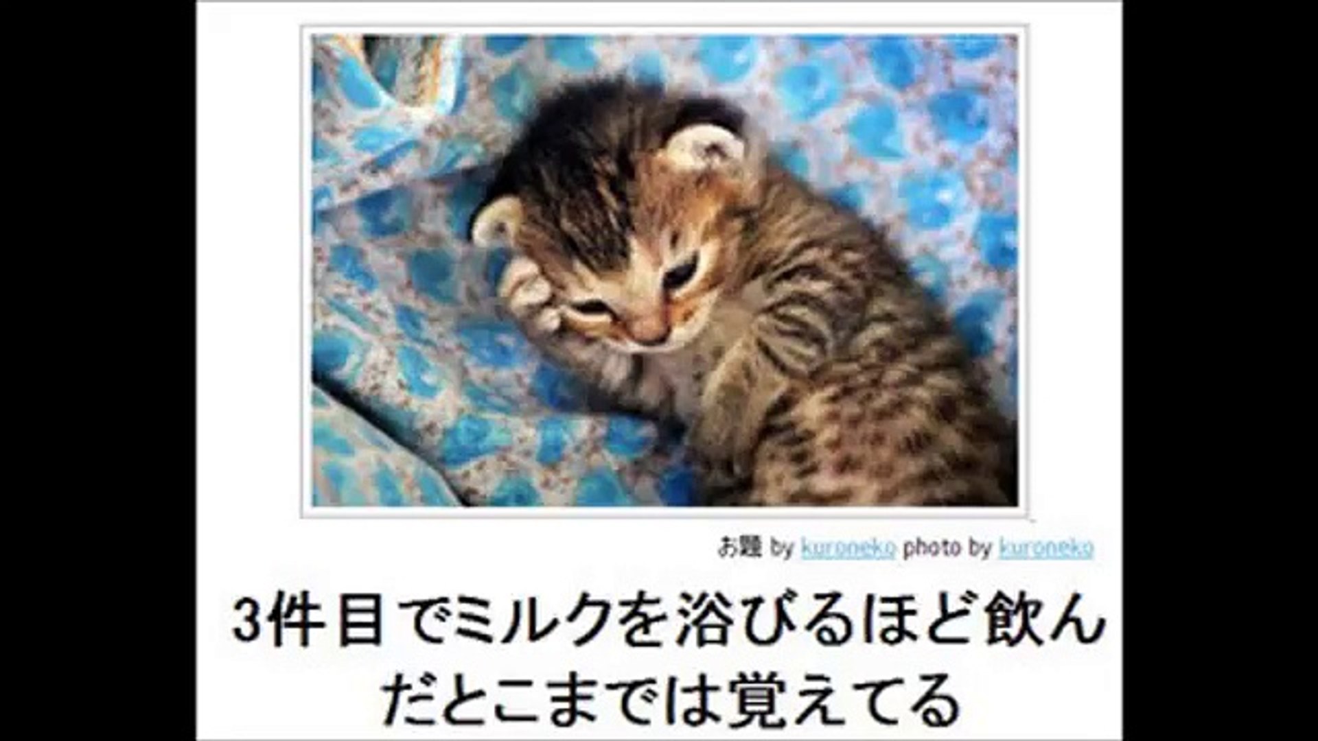 吹いたら負け 100 笑える面白すぎる ボケて 傑作選 Www 殿堂入り Video Dailymotion