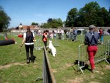 premier concour d'agility berlencourt le couroy 1er degrè exellent