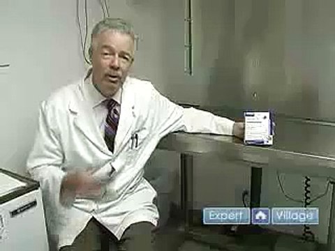 How to Control Ticks & Fleas : Using Tick Collars on Dogs & Cats