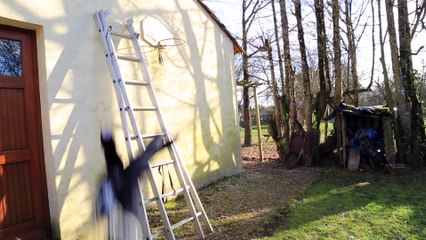 LES QUESTIONS CONNES - Seb la Frite